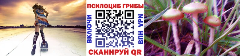 Галлюциногенные грибы Psilocybe  наркошоп  Россошь 