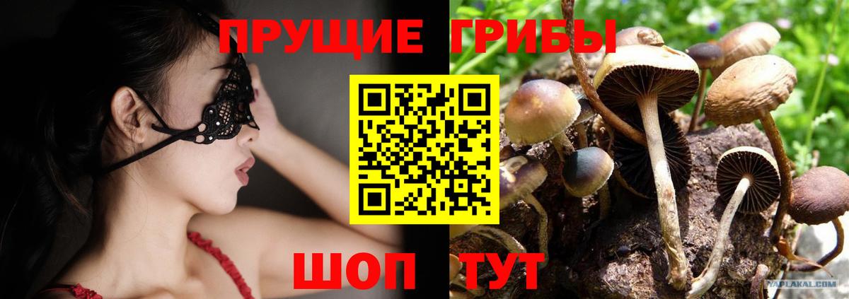 Галлюциногенные грибы GOLDEN TEACHER  Вход с VPN  Россошь 