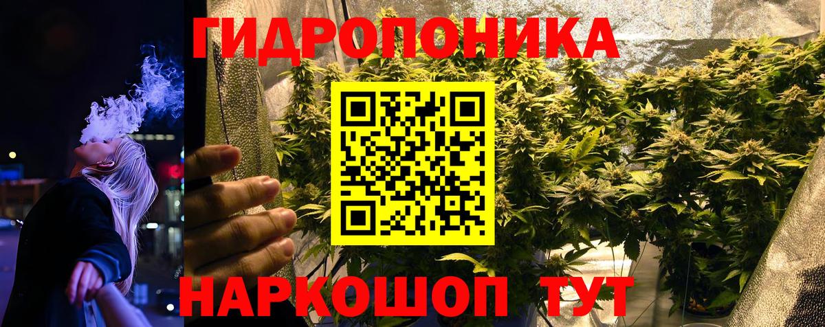 Каннабис SATIVA & INDICA  Шишки марихуана THC 21%  Вход с VPN  Марихуана планчик  Россошь 